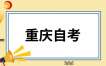 重庆市2025年上半年全国计算机等级考试报名公告